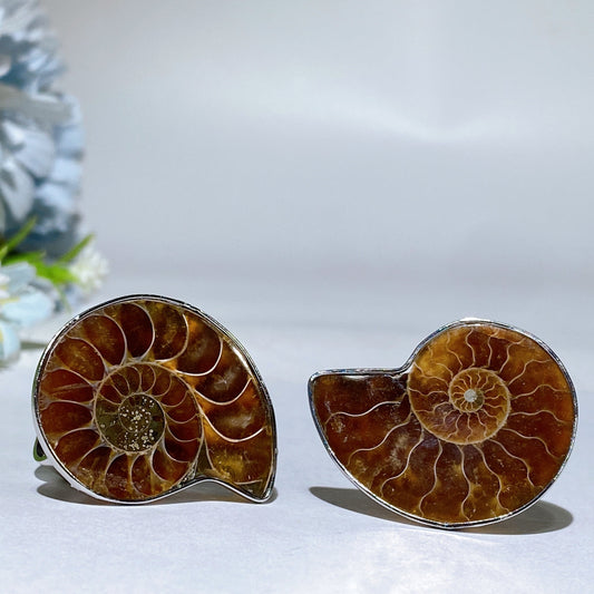 Adjustable Ammonite Ring Crystal Healing Bulk Wholesale