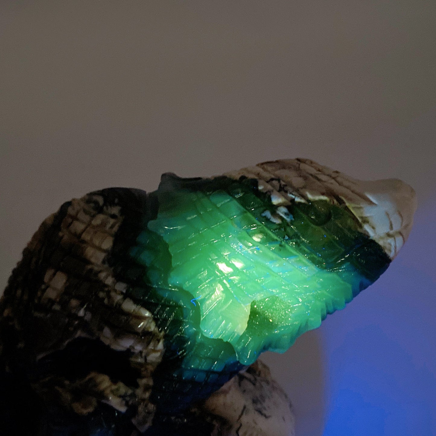 18cm UV Reactive Volcanic Agate Lizard Carving Crystal Healing Bulk Wholesale