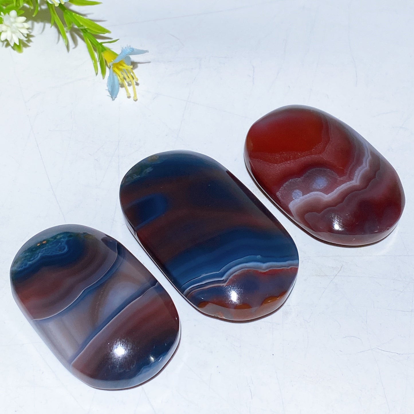 2.0"-2.5" Botswana Agate Palm Stone Crystal Healing Bulk Wholesale
