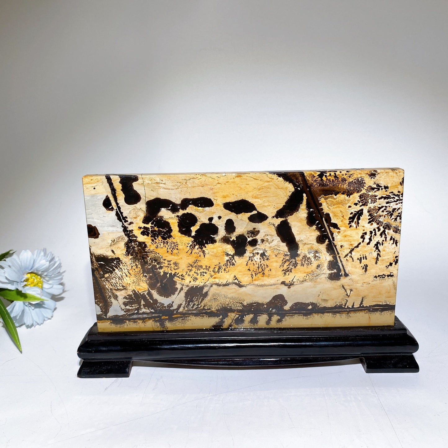 12cm 22cm Picture Jasper Rectangle Slab with Stand Free Form Crystal Healing Bulk Wholesale