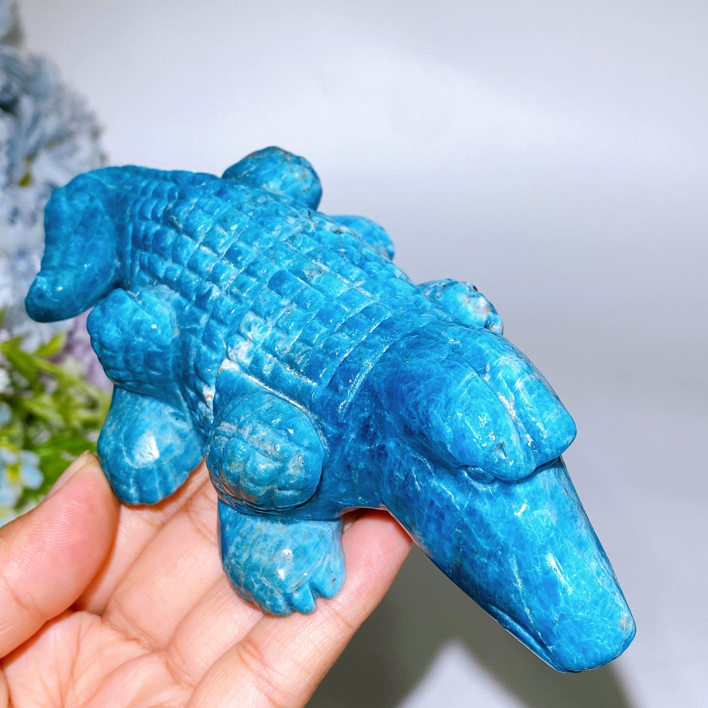 16cm Blue Apatite Crocodile Carving Crystal Healing Bulk Wholesale