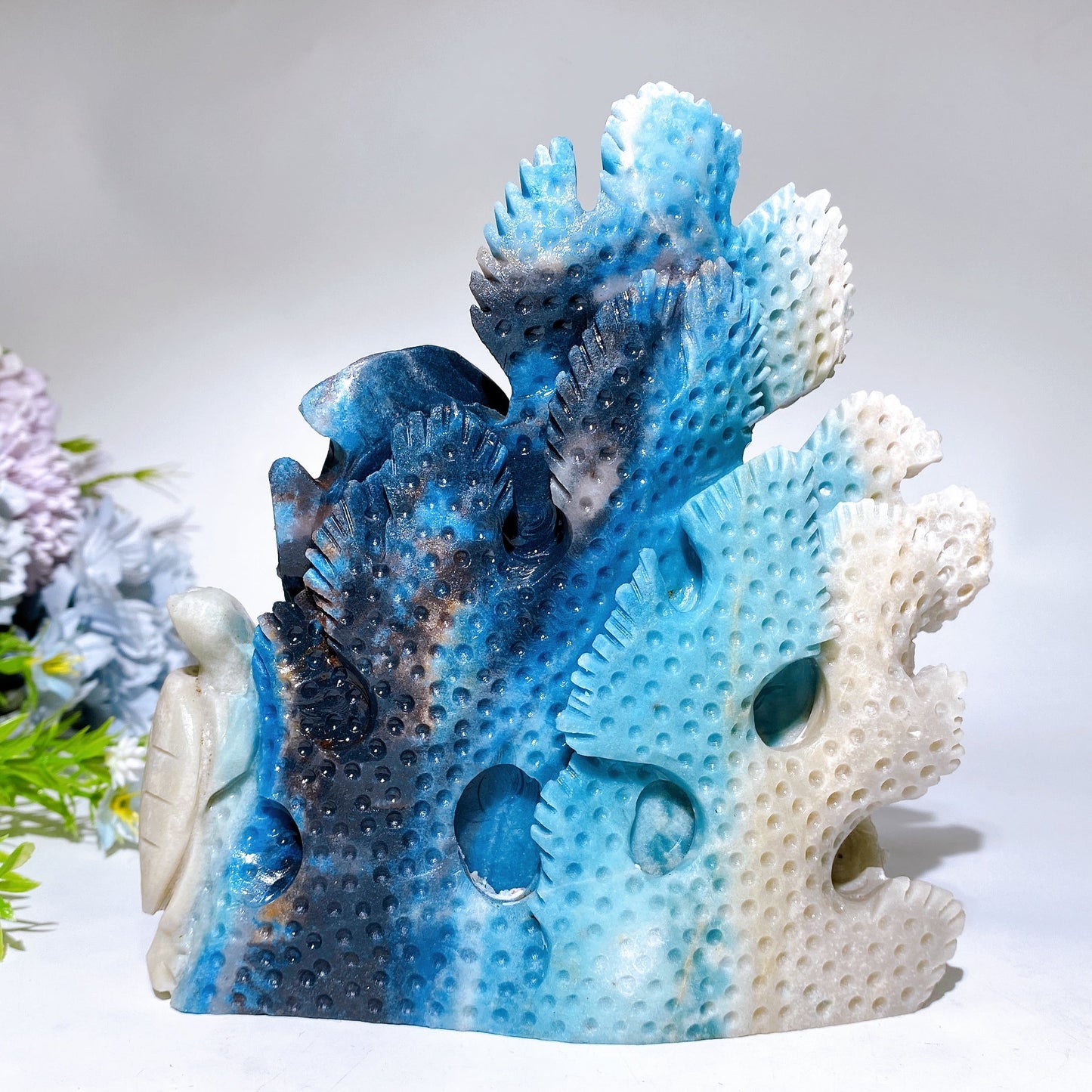 16cm Large Unique Trolleite Coral Fish Carving Crystal Healing Bulk Wholesale