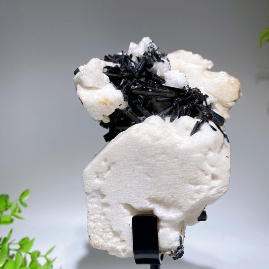 Unique 18cm Black Tourmaline In Feldspar Specimen with Stand