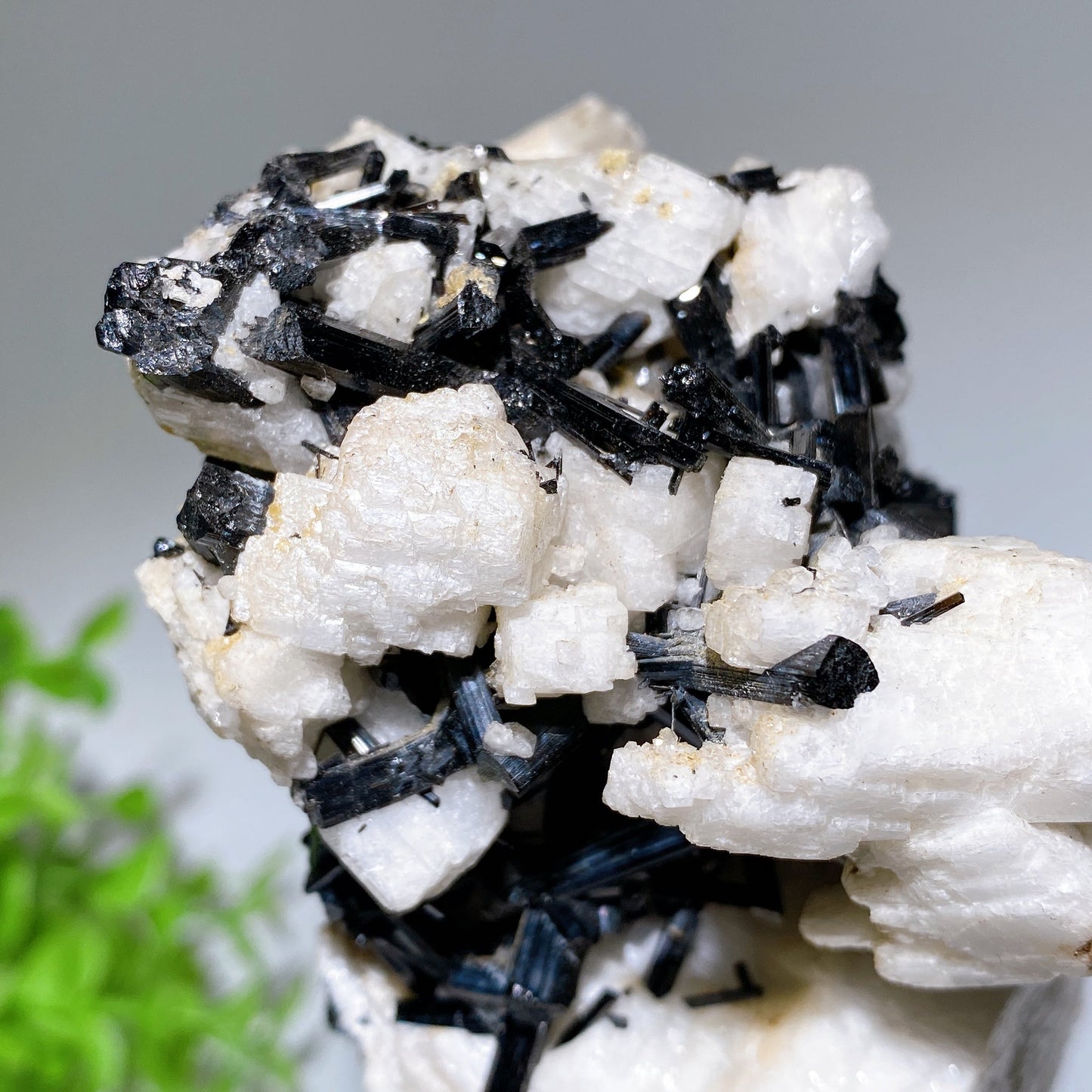 Unique 18cm Black Tourmaline In Feldspar Specimen with Stand