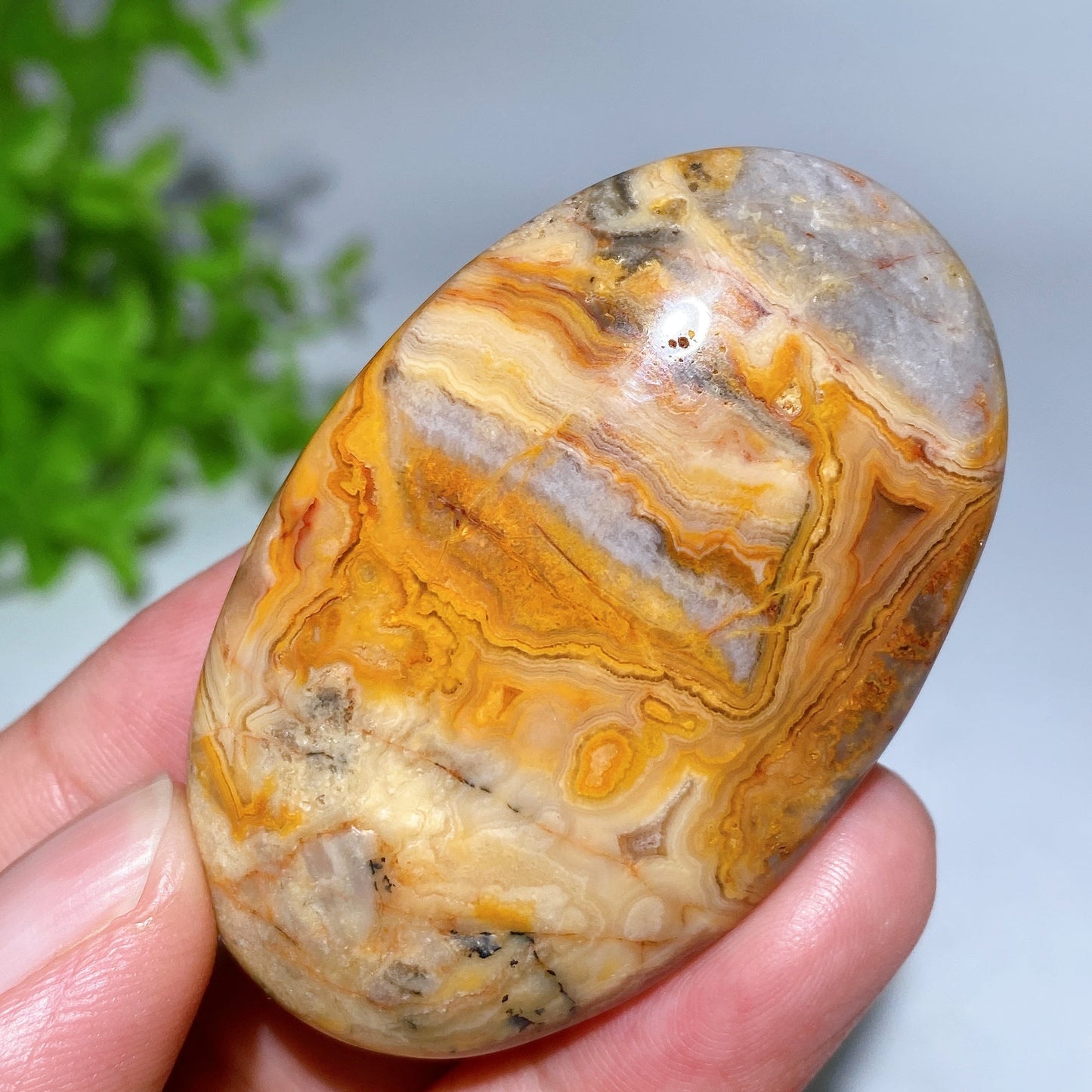 2.2" Crazy Agate Palm Stone Crystal Healing Bulk Wholesale