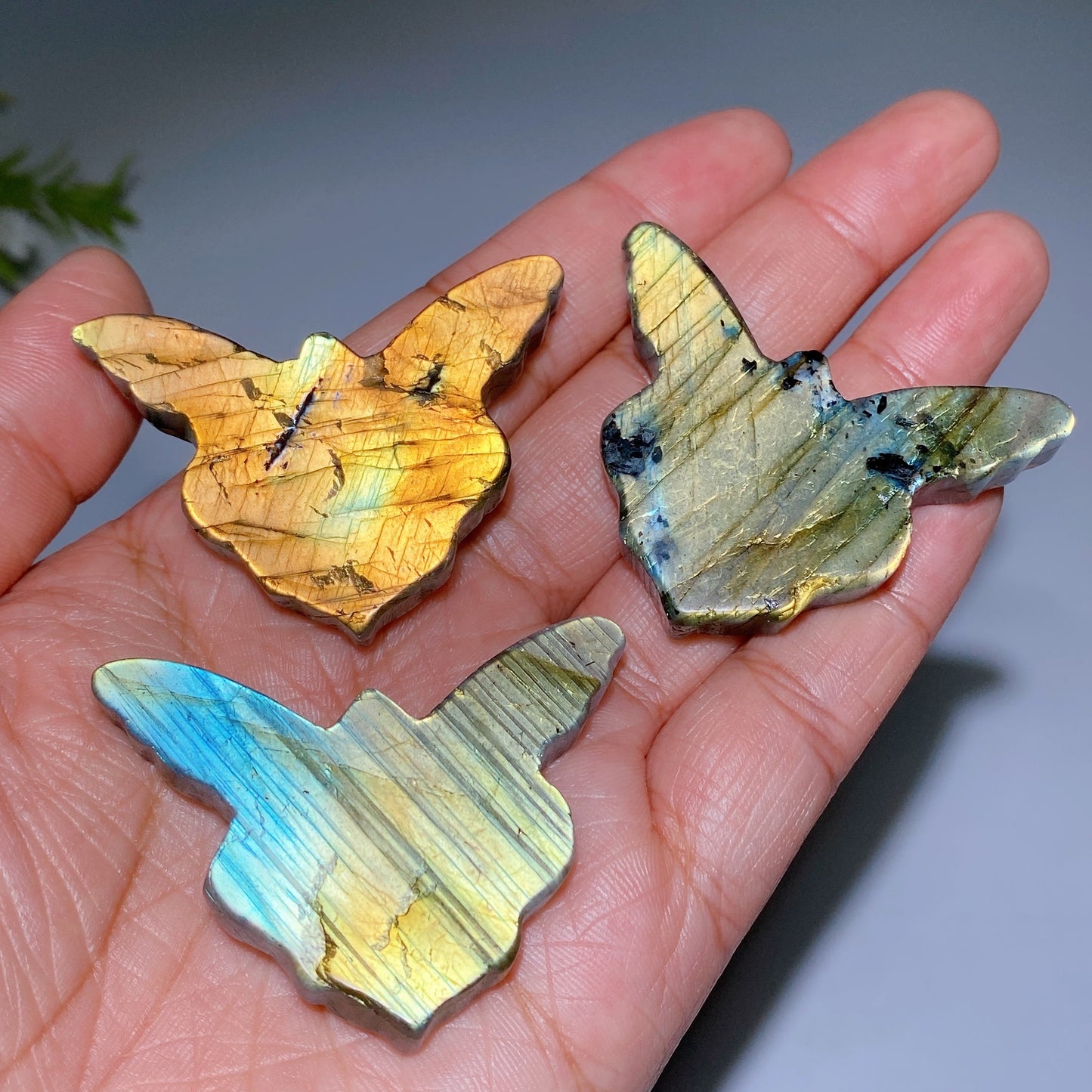 1.9" Labradorite Butterfly Fairy Carving Crystal Healing Bulk Wholesale