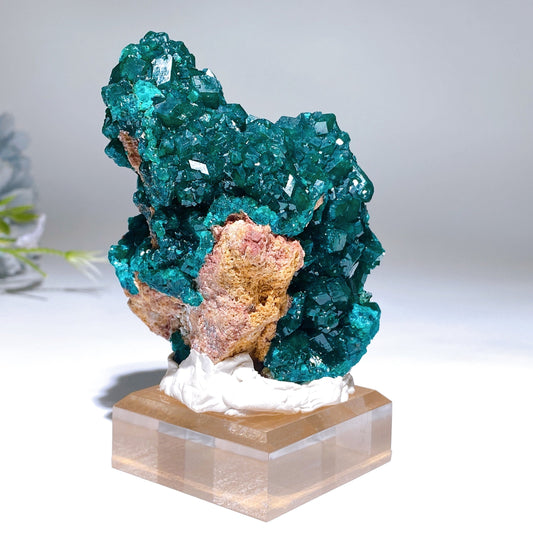 Unique Dipotase from Namibia Specimen Crystal Healing Bulk Wholesale