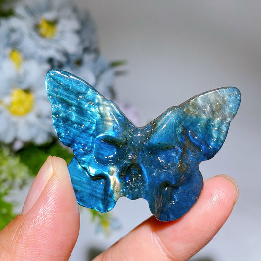 1.9" Labradorite Skull Butterfly Carving Crystal Healing Bulk Wholesale