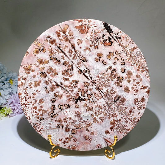 20.5-24cm Picture Jasper Plate Carving Crystal Healing Bulk Wholesale