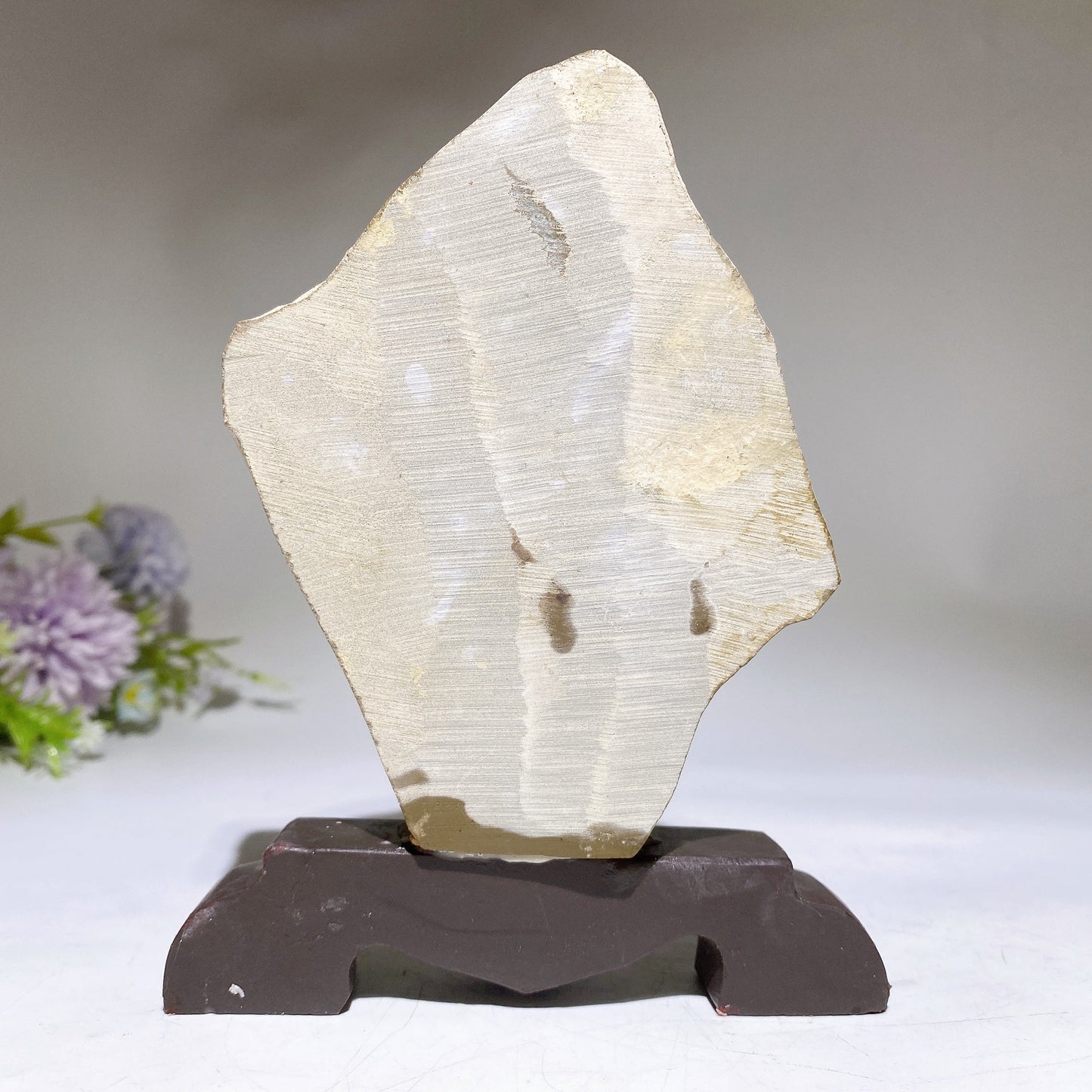 Fossil Trilobite Specimen Free Form with Gift Box Crystal Healing Bulk Wholesale