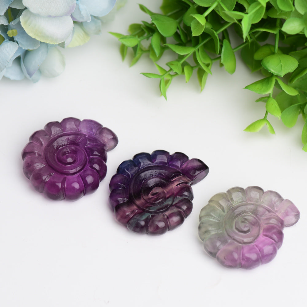 2.0" Fluorite Shell Crystal Carving Animal Bulk Best Crystal Wholesalers