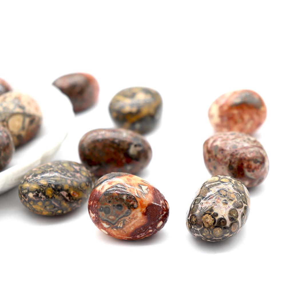 0.1kg High Quality Leopard Skin Jasper bulk tumbled stone Best Crystal Wholesalers