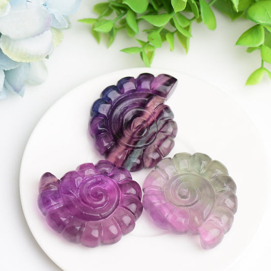 2.0" Fluorite Shell Crystal Carving Animal Bulk Best Crystal Wholesalers