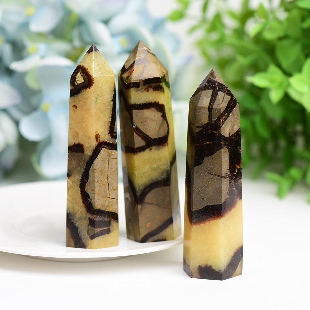 2.5"-4.5" Septarian Septarium Crystal Points Towers Bulk Best Crystal Wholesalers