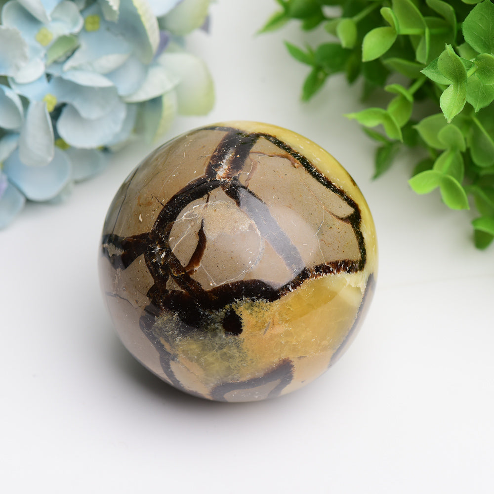 2.0"-3.2" Septarium Septarian Crystal Spheres Bulk Best Crystal Wholesalers