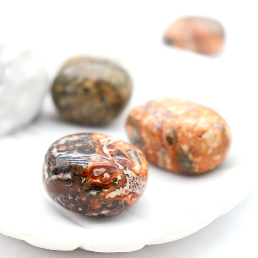 0.1kg High Quality Leopard Skin Jasper bulk tumbled stone Best Crystal Wholesalers