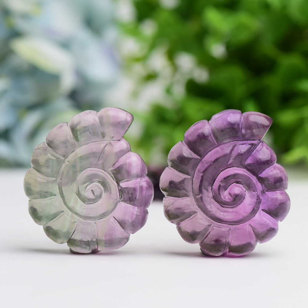 2.0" Fluorite Shell Crystal Carving Animal Bulk Best Crystal Wholesalers