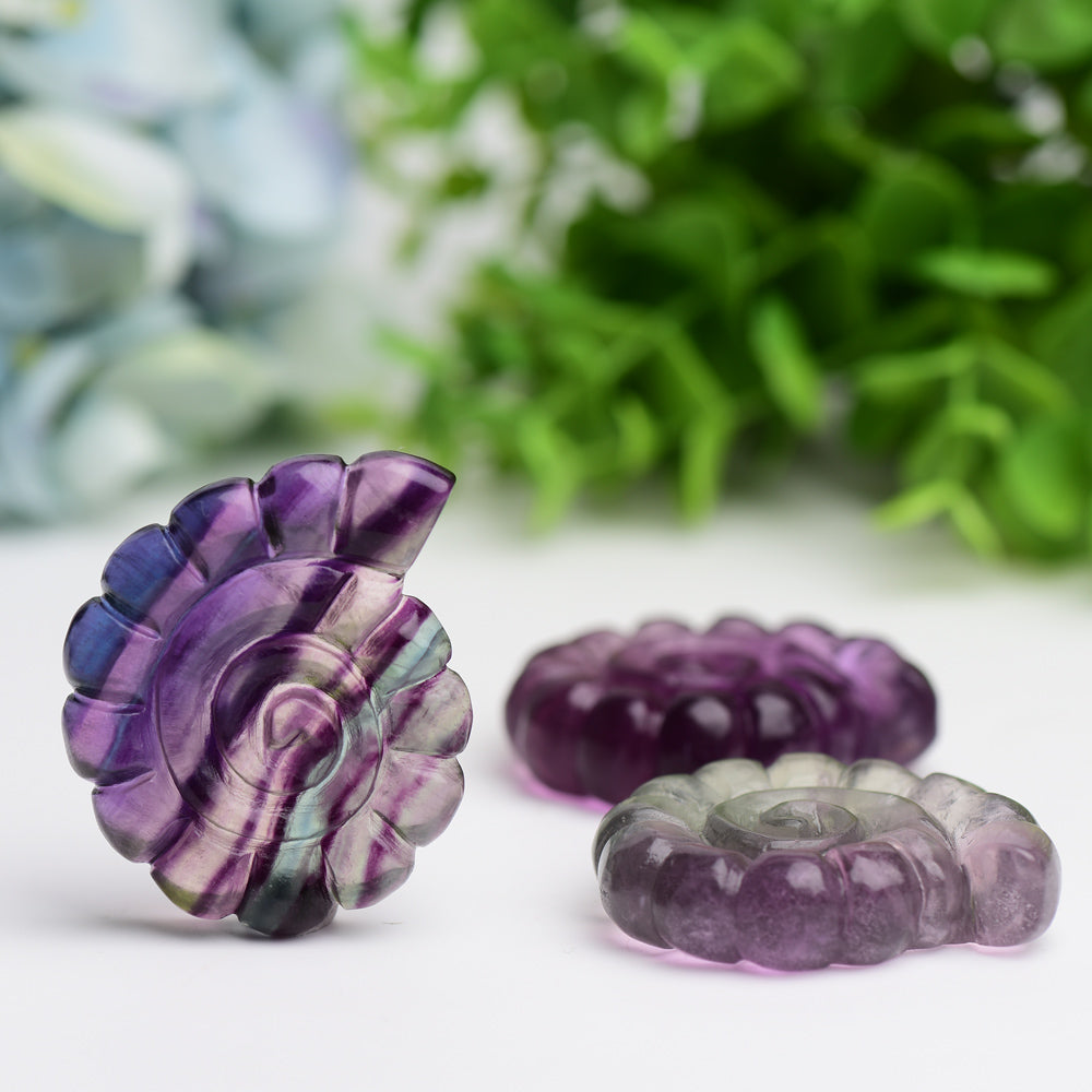 2.0" Fluorite Shell Crystal Carving Animal Bulk Best Crystal Wholesalers