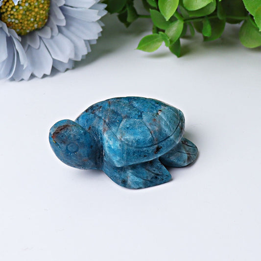 2.3" Blue Apatite Sea Turtle Crystal Carvings Best Crystal Wholesalers