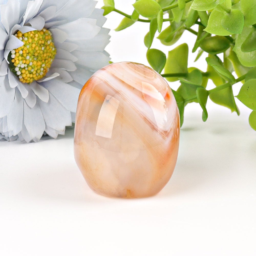 2" Sardonyx Skull Crystal Carvings Best Crystal Wholesalers