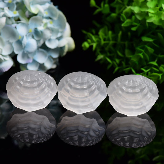 2.4" Selenite Shell Shape Carving Bulk WholesaleBest Crystal Wholesalers
