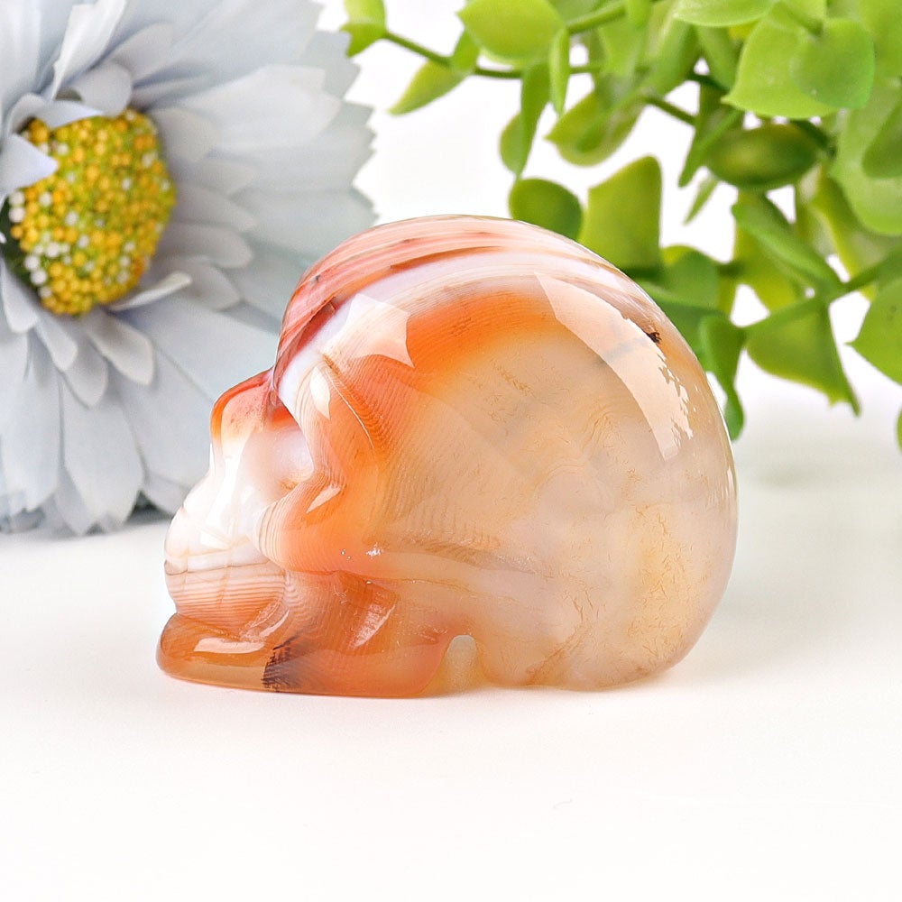 2" Sardonyx Skull Crystal Carvings Best Crystal Wholesalers