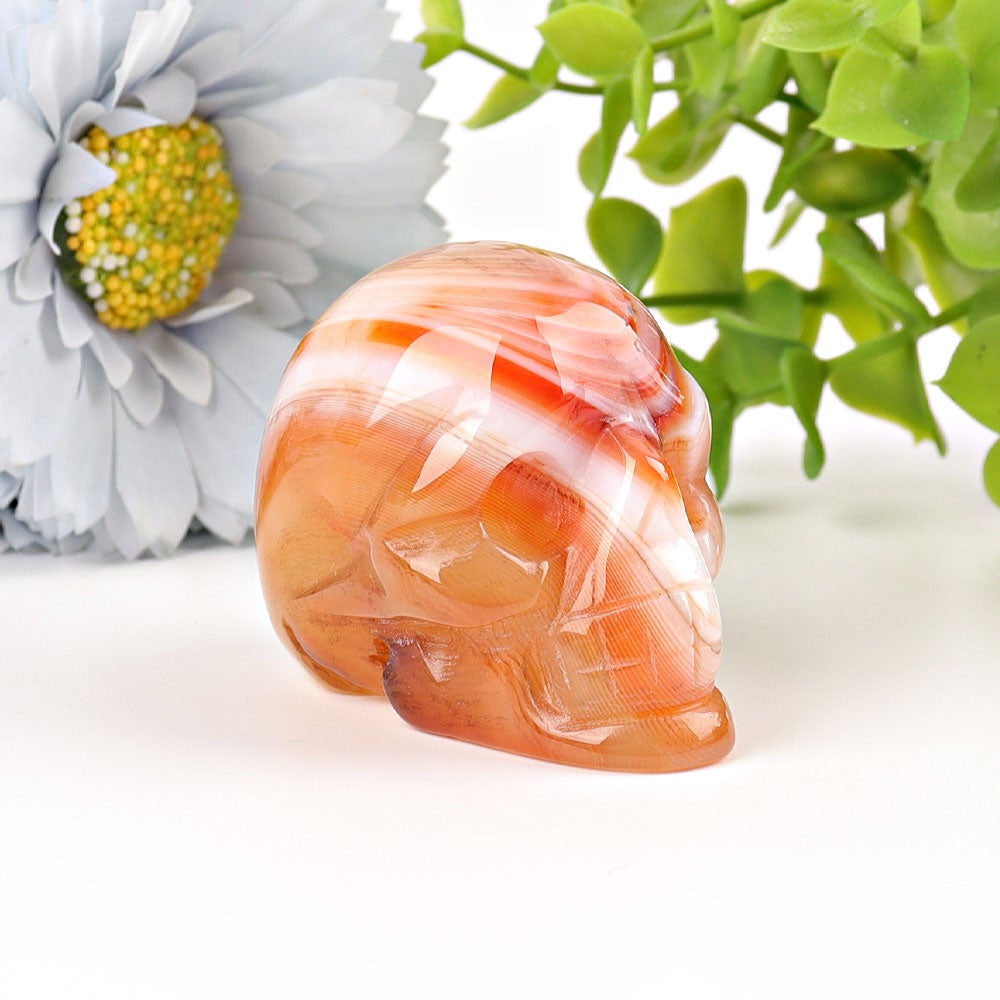 2" Sardonyx Skull Crystal Carvings Best Crystal Wholesalers