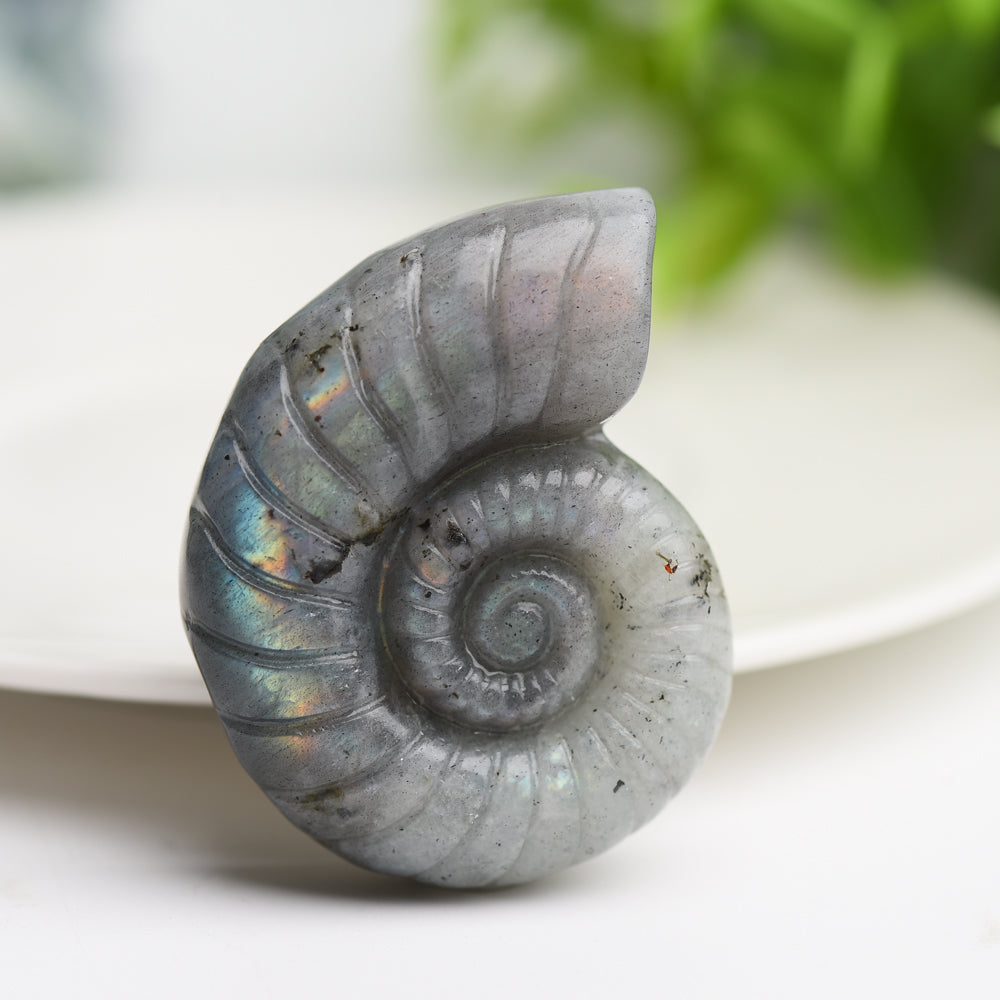 1.8" Mixed Crystal Shell Crystal Carving Bulk Wholesale