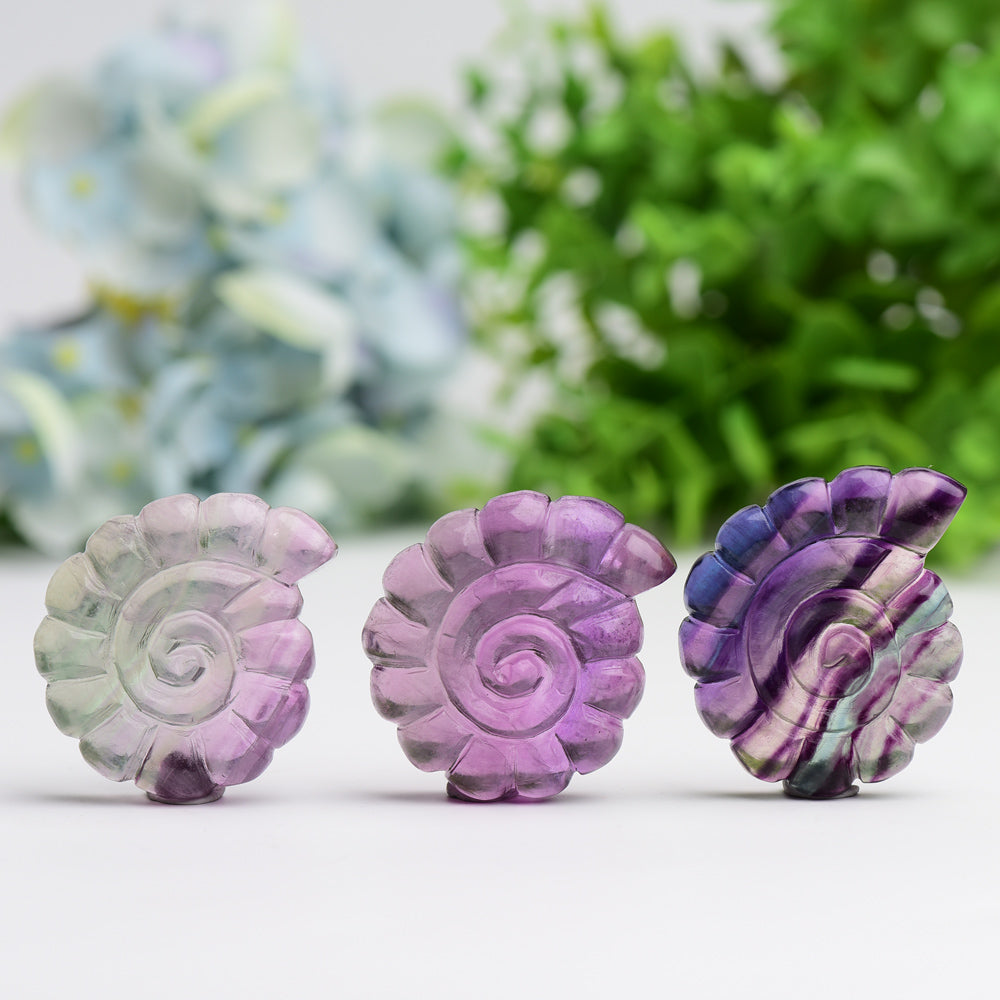 2.0" Fluorite Shell Crystal Carving Animal Bulk Best Crystal Wholesalers