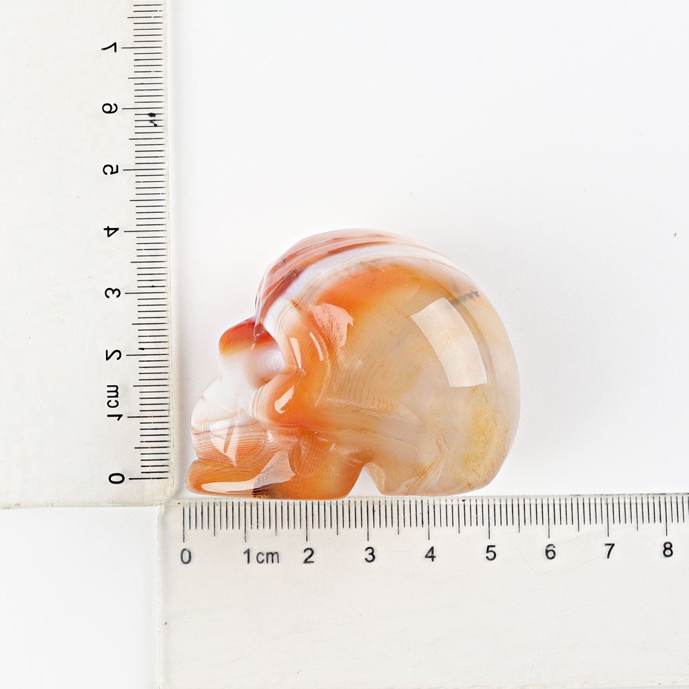 2" Sardonyx Skull Crystal Carvings Best Crystal Wholesalers