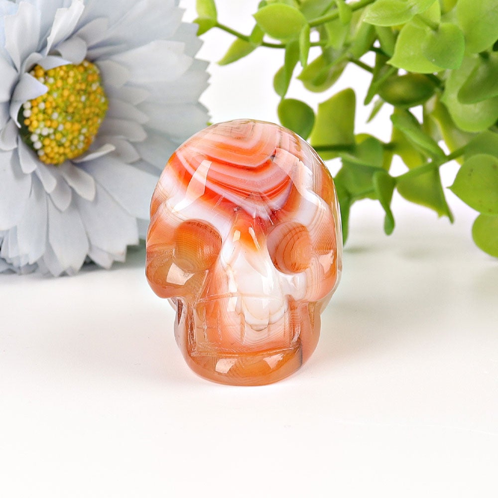 2" Sardonyx Skull Crystal Carvings Best Crystal Wholesalers