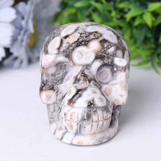 Ocean Jasper Crystal Skull Carvings Best Crystal Wholesalers