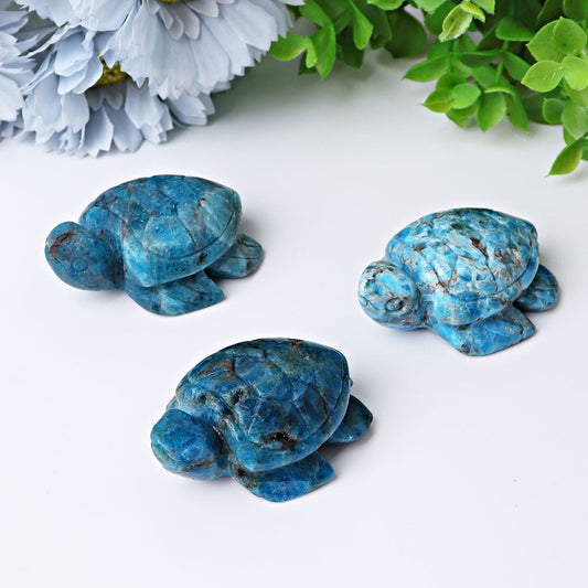 2.3" Blue Apatite Sea Turtle Crystal Carvings Best Crystal Wholesalers