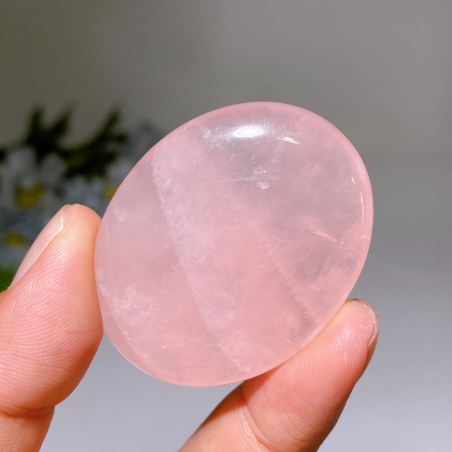 1.9" Crystal Palm Crystal Healing Bulk Wholesale