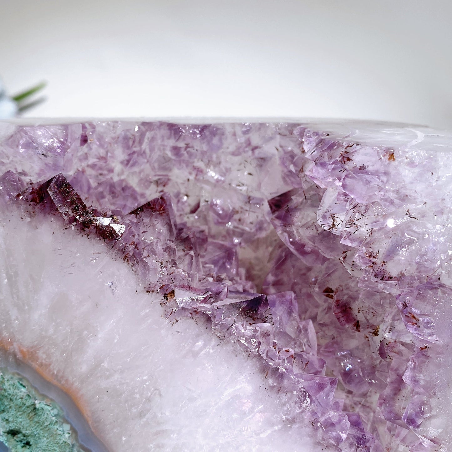 Large Unique Amethyst Cluster Stump Carving Crystal Healing Bulk Wholesale