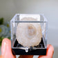 72pcs Boxes Specimen Collection Crystal Healing Bulk Wholesale