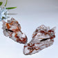 3.0" Red Mexican Onyx Dragon Head Carving Crystal Healing Bulk Wholesale