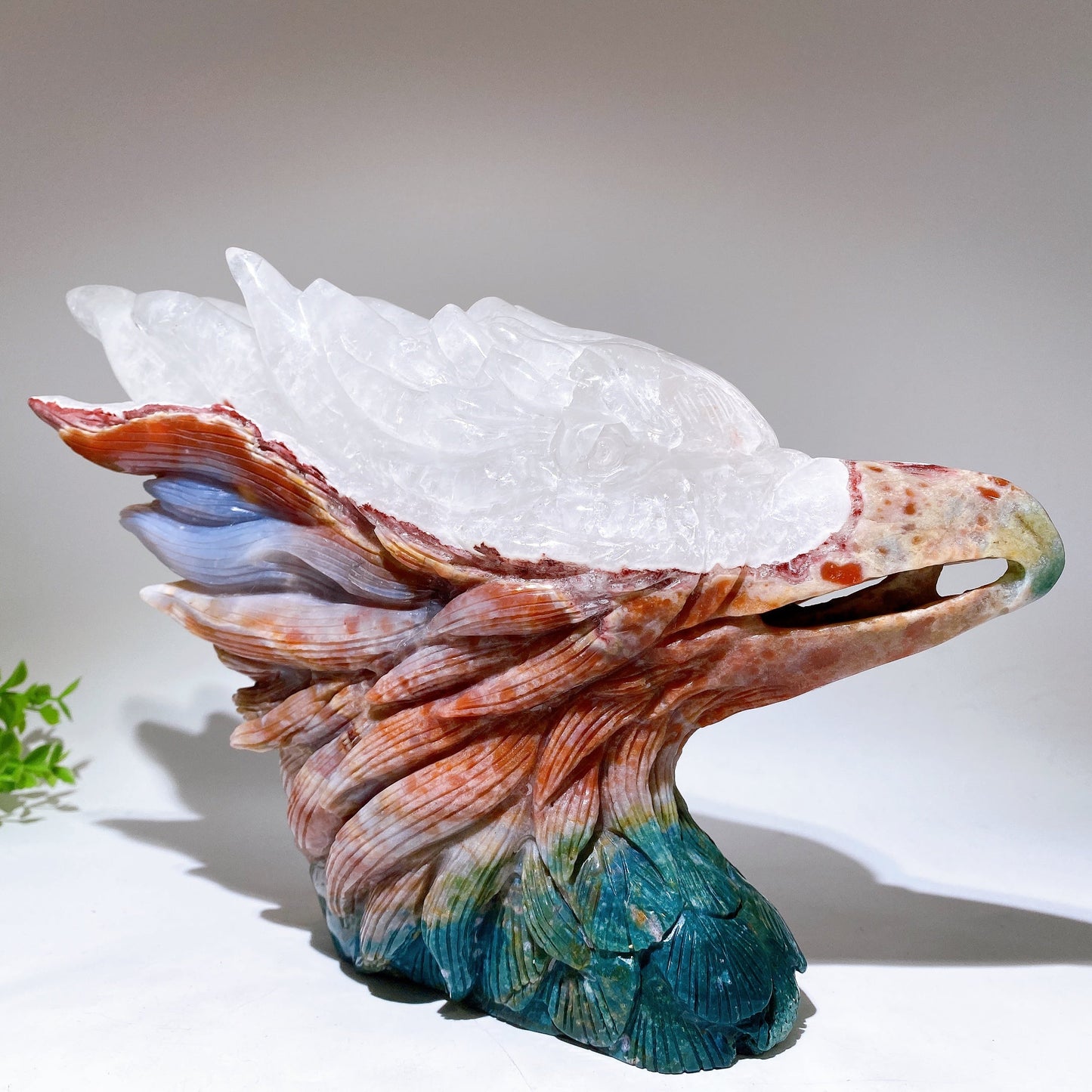 30cm Large Unique Ocean Jasper Growing with Quartz Eagle Head Carving Crystal Healing Bulk Wholesale