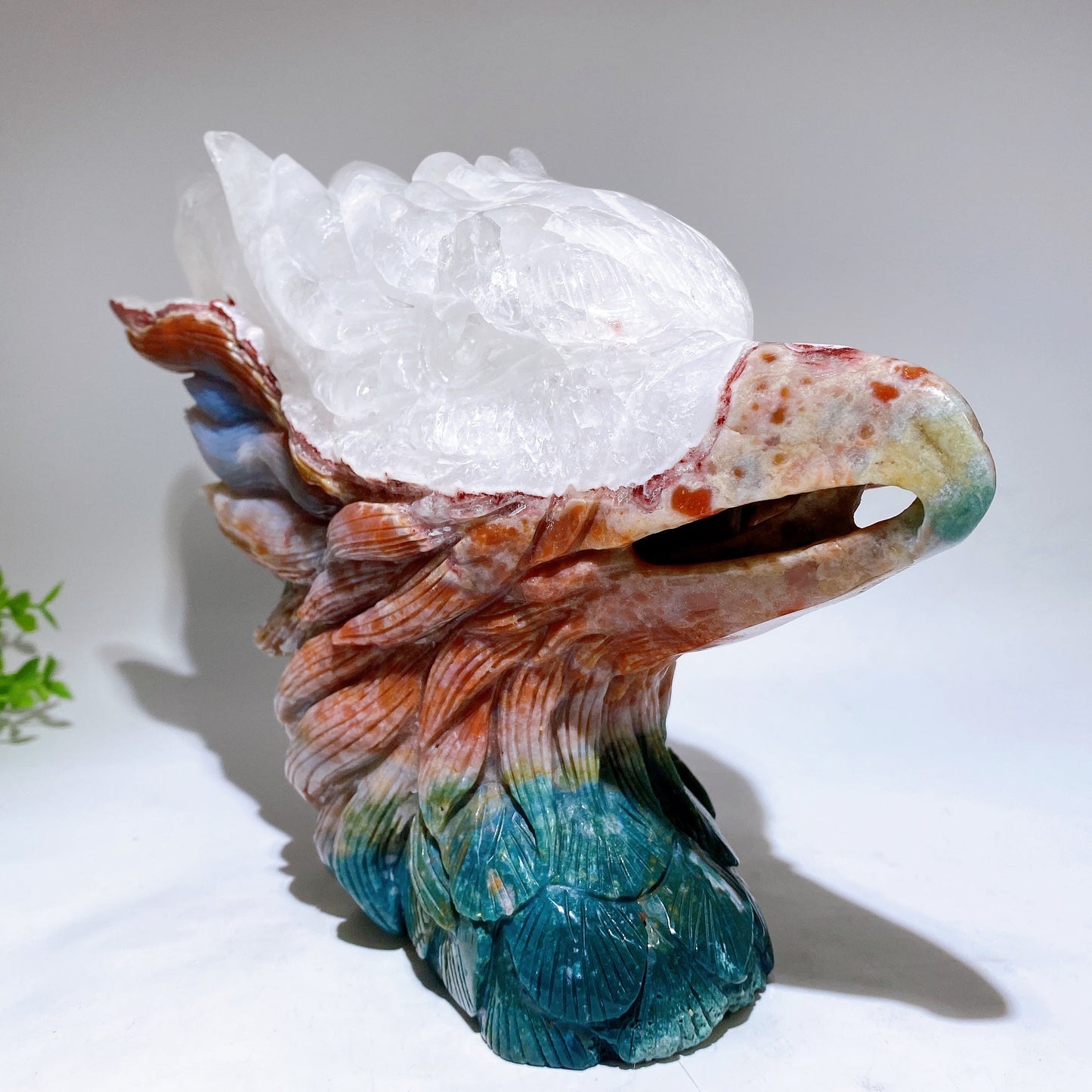 30cm Large Unique Ocean Jasper Growing with Quartz Eagle Head Carving Crystal Healing Bulk Wholesale
