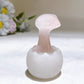 2.6" Crystal Baby Dinosaur White Jade Shell Carving Crystal Healing Bulk Wholesale