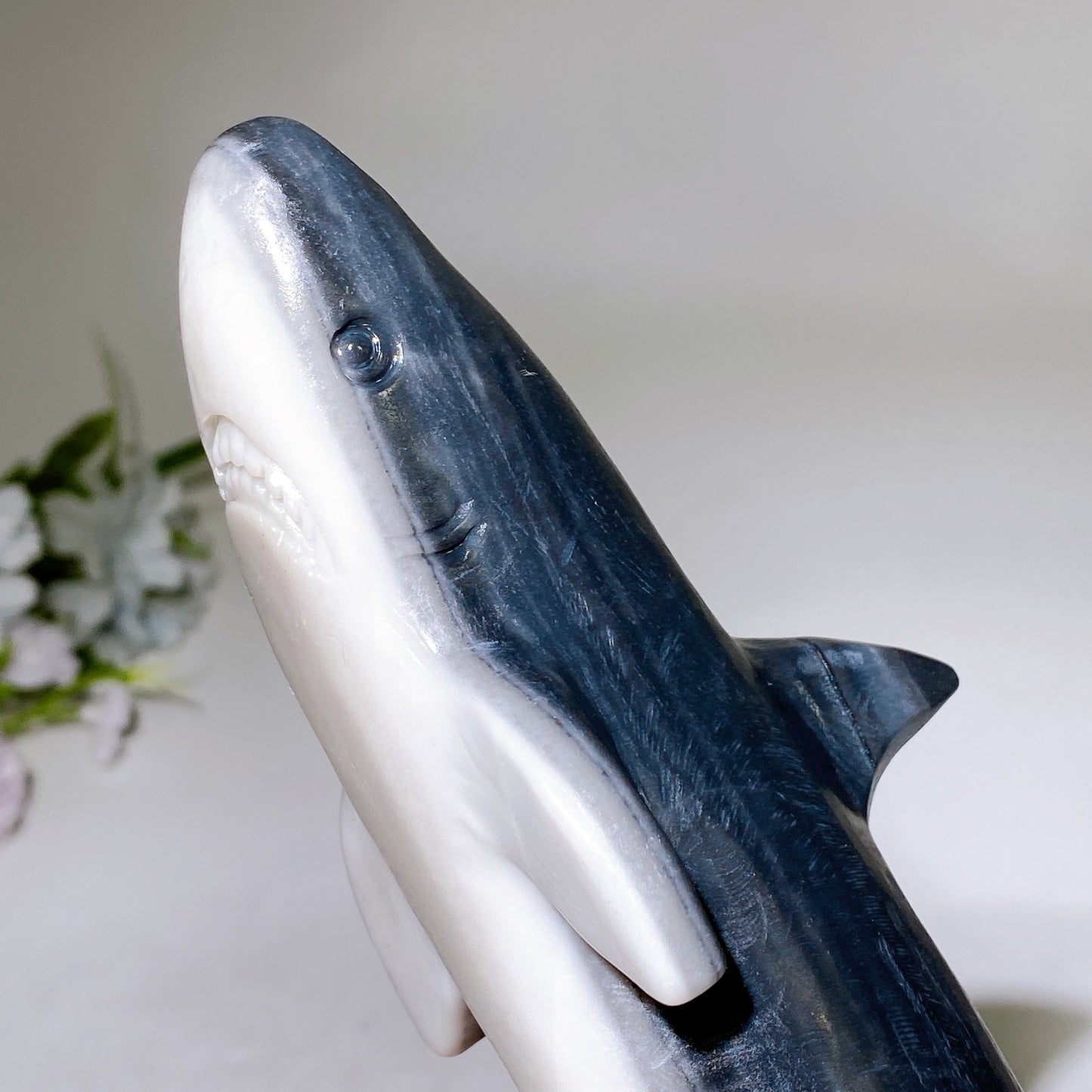 25cm Taiji Stone Shark Carving Crystal Healing Bulk Wholesale