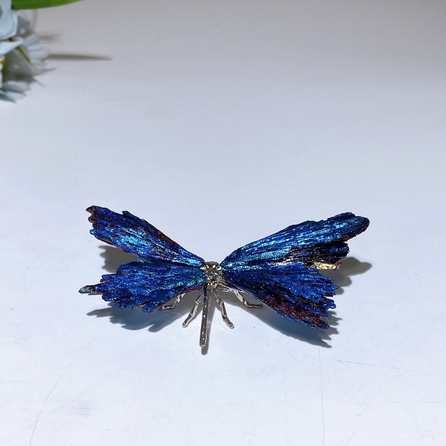 Aura Tourmaline Dragonfly Free Form Crystal Healing Bulk Wholesale