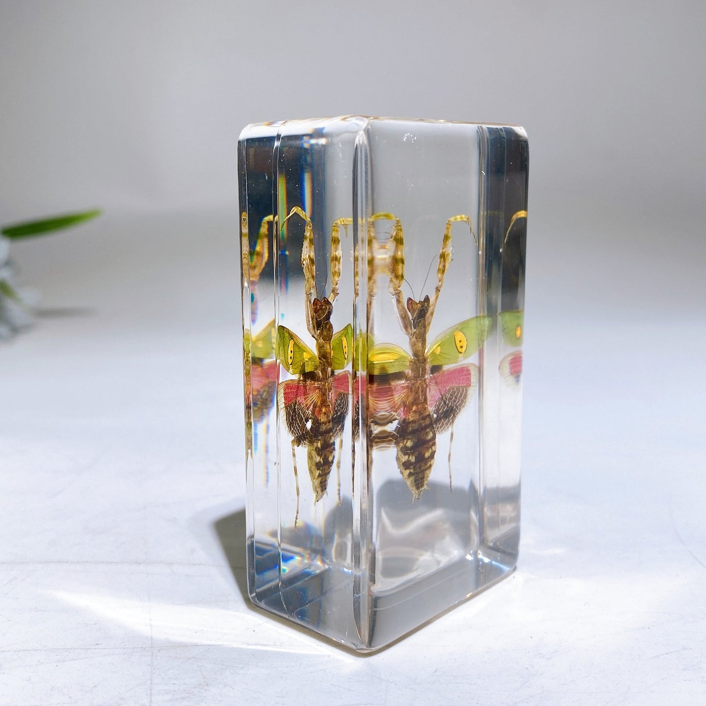 Resin Mantis Free Form Crystal Healing Bulk Wholesale