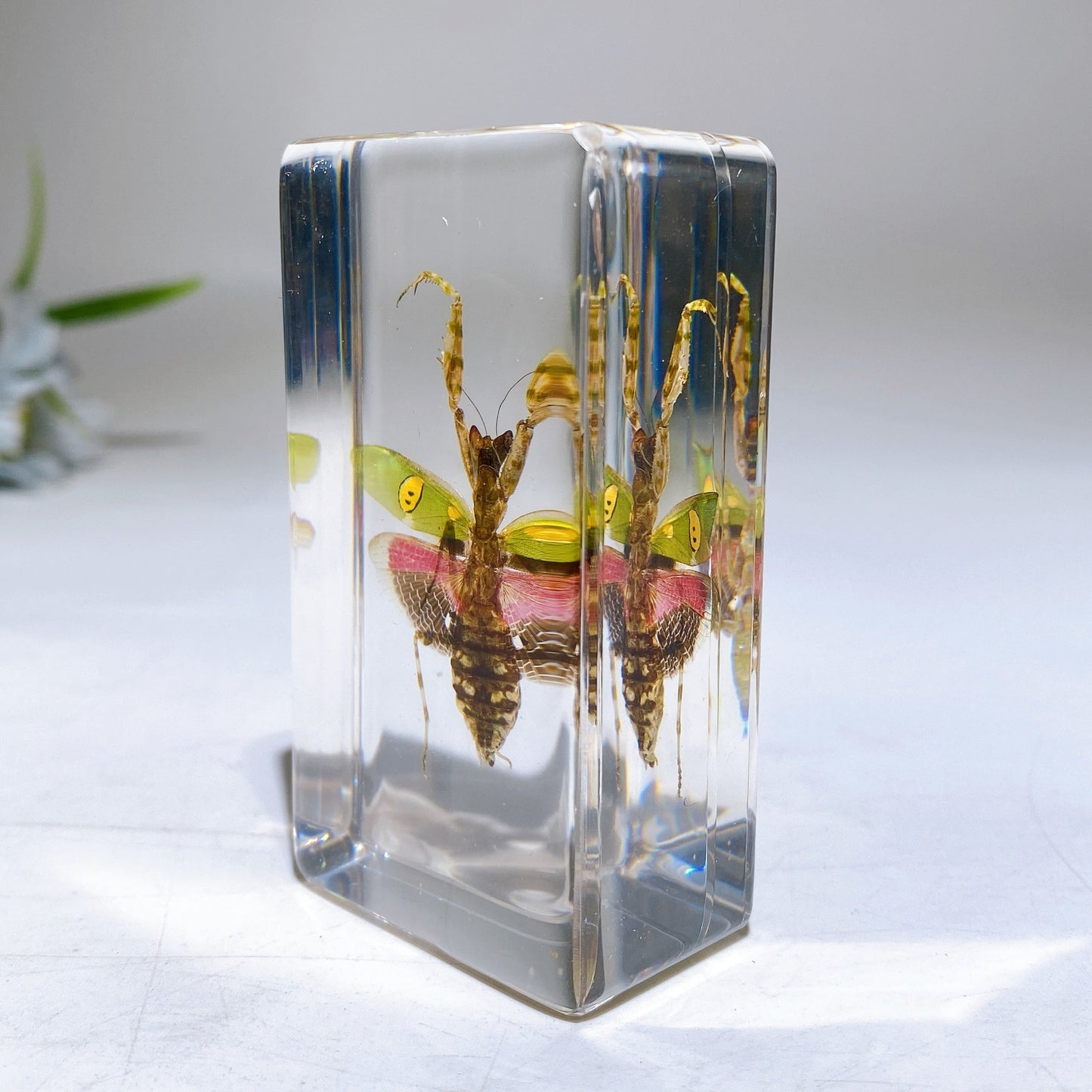 Resin Mantis Free Form Crystal Healing Bulk Wholesale