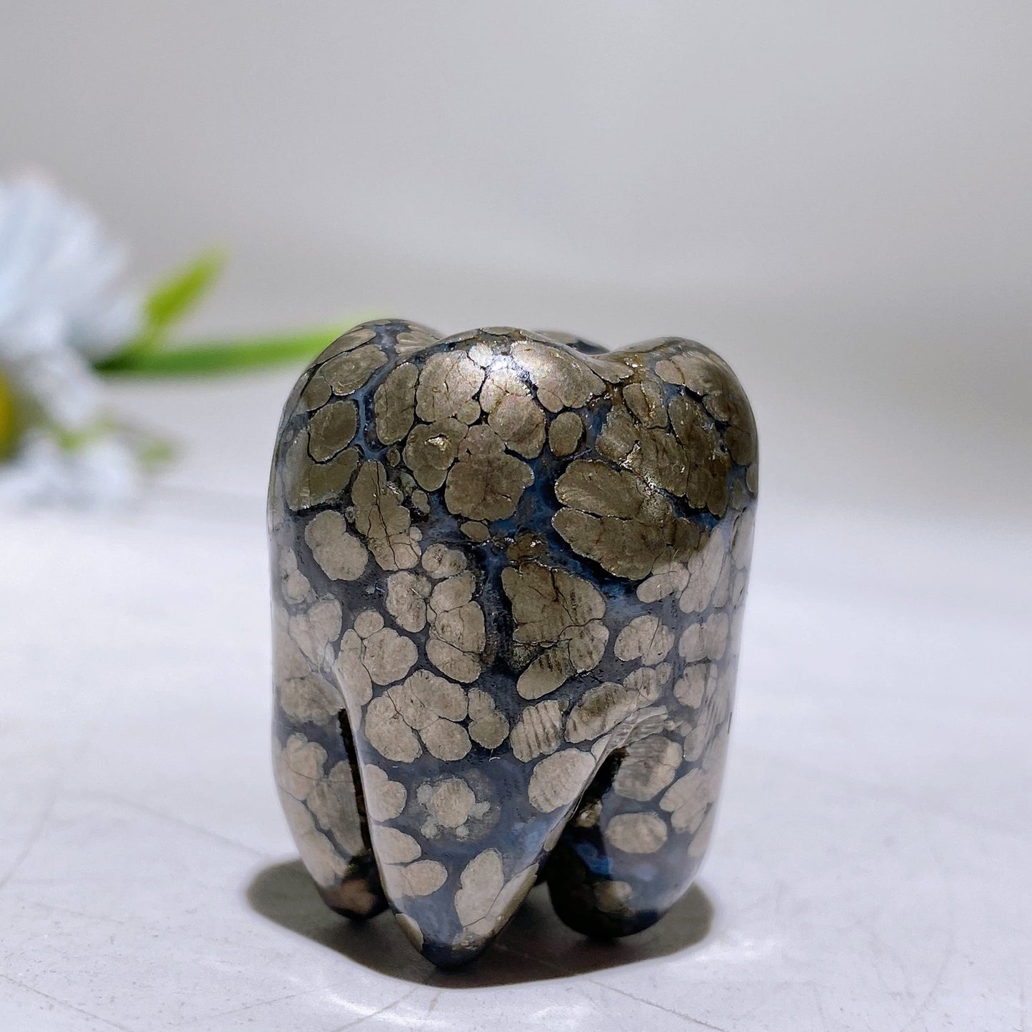 1.2" Crystal Tooth Carving Crystal Healing Bulk Wholesale