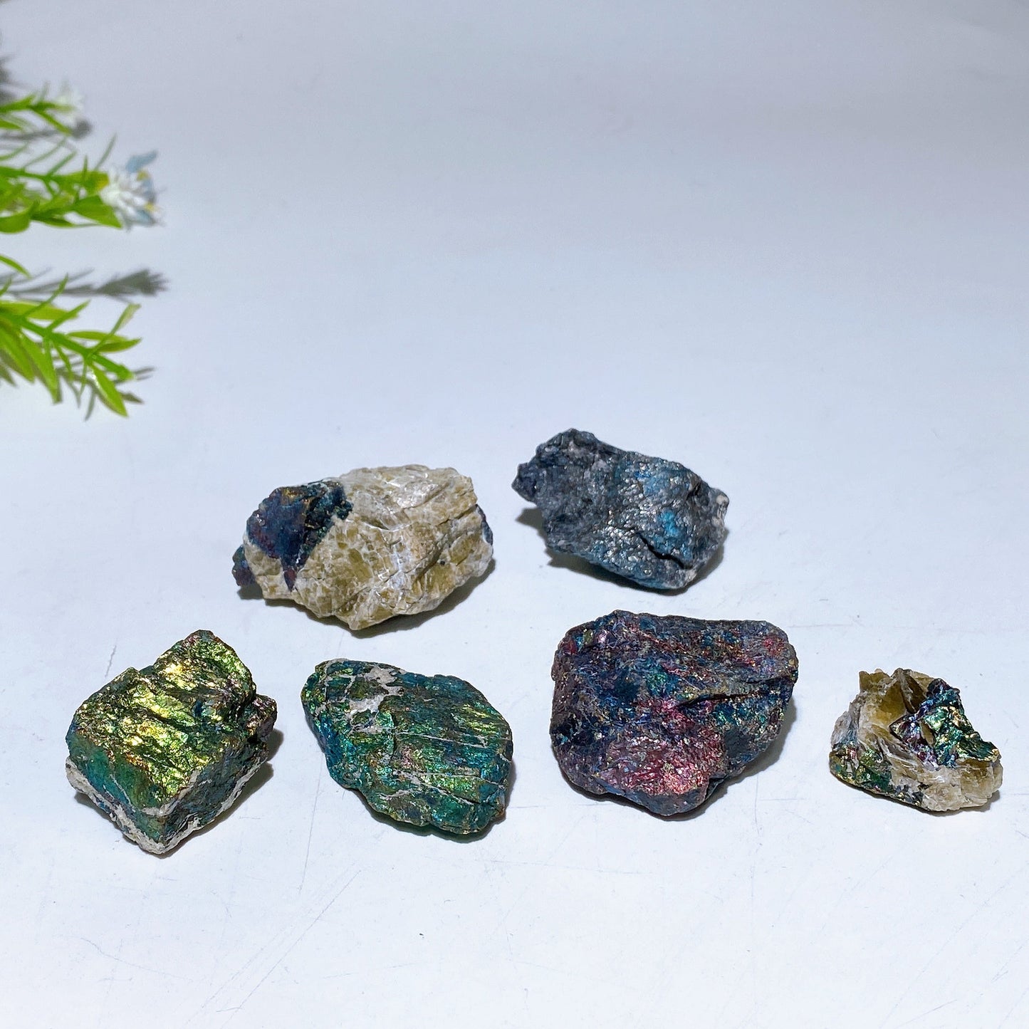 Bornite Raw Stone Bag Crystal Healing Bulk Wholesale