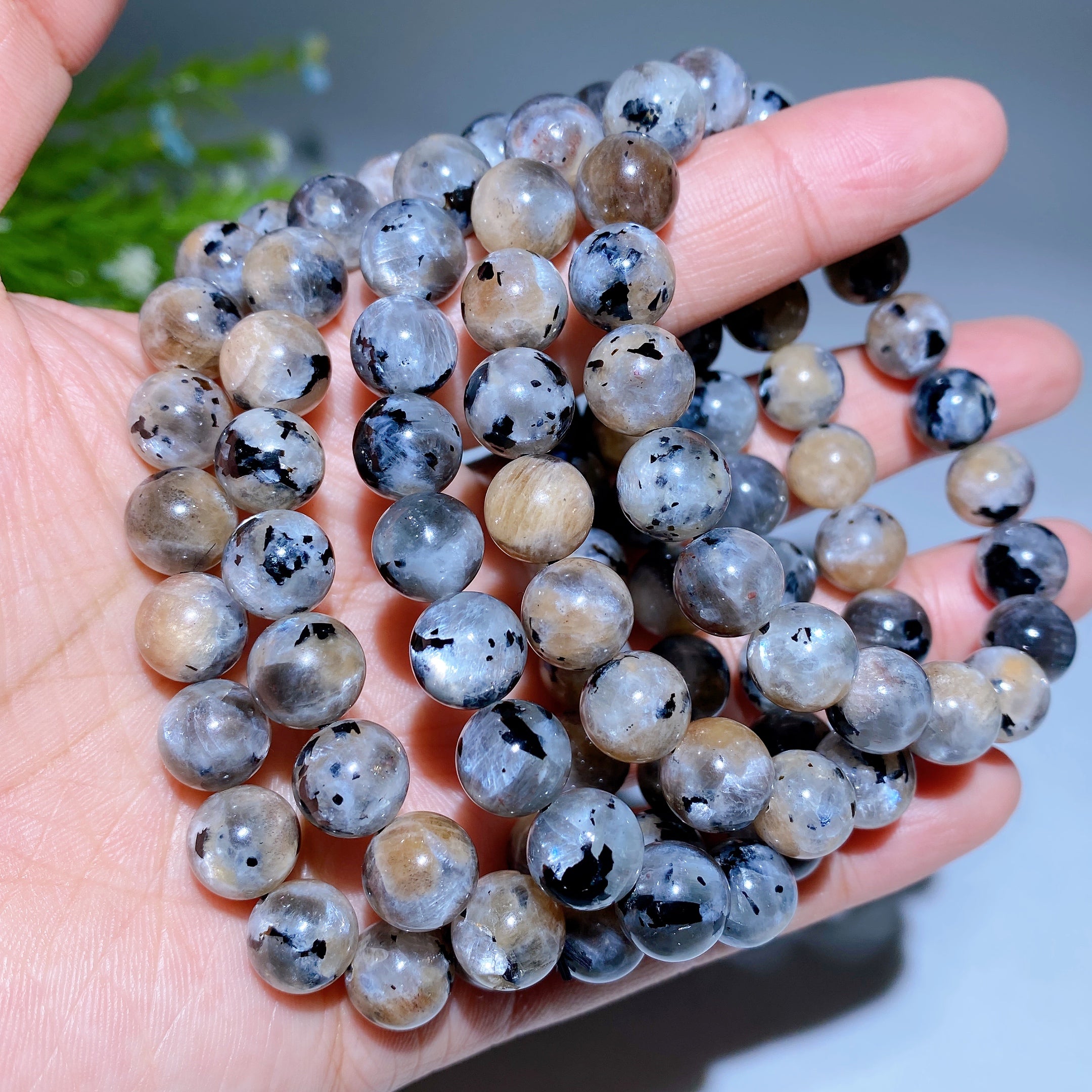 Ocean Jasper Wholesale Bulk Towers Points Spheres Bracelets Beads