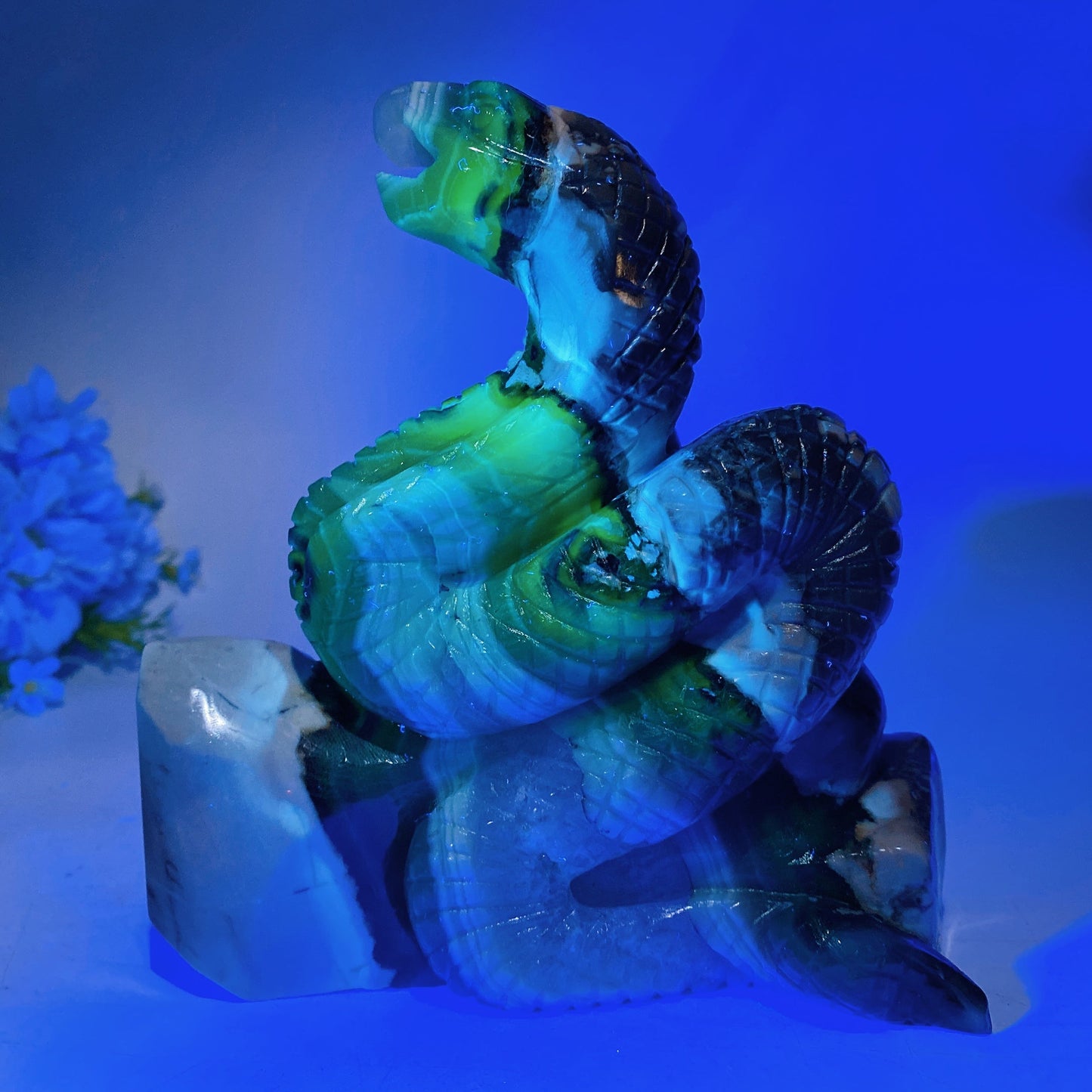 16cm Large Uniqu UV Reactive Volcanic Agate Snake Carving Crystal Healing Bulk Wholesale