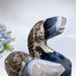 16cm Large Uniqu UV Reactive Volcanic Agate Snake Carving Crystal Healing Bulk Wholesale