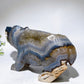 22cm Large Unique Druzy Volcanic Agate Bear Carving Crystal Healing Bulk Wholesale
